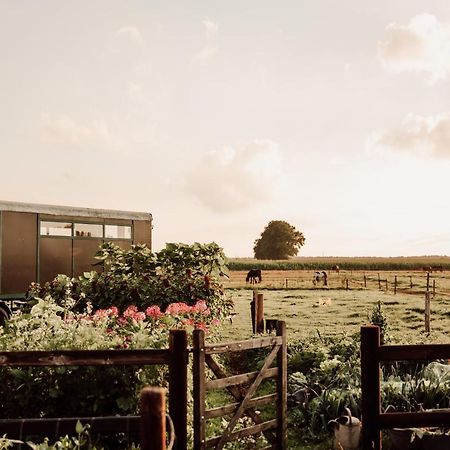 ホテル Slapen Tussen De Paarden Essen エクステリア 写真