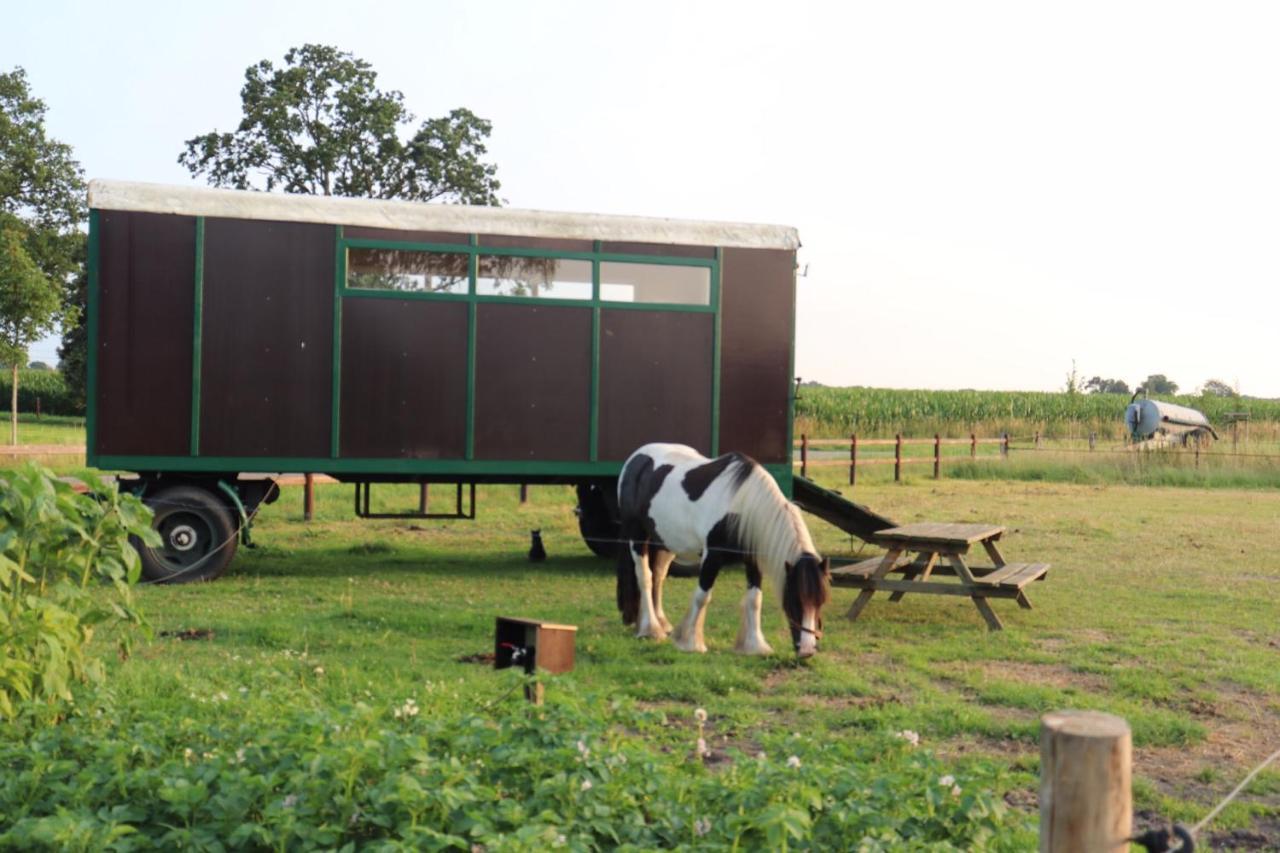 ホテル Slapen Tussen De Paarden Essen エクステリア 写真
