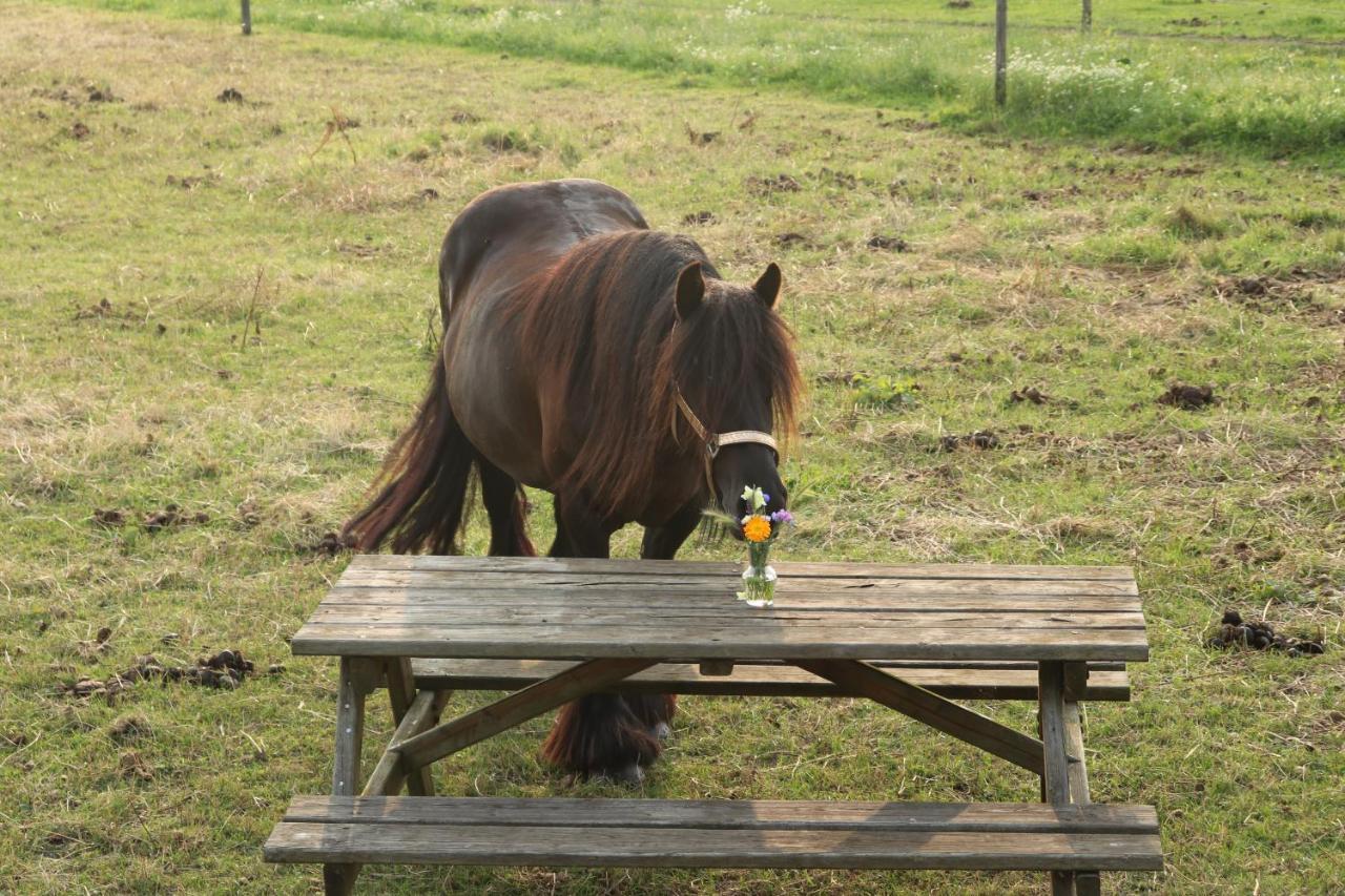 ホテル Slapen Tussen De Paarden Essen エクステリア 写真