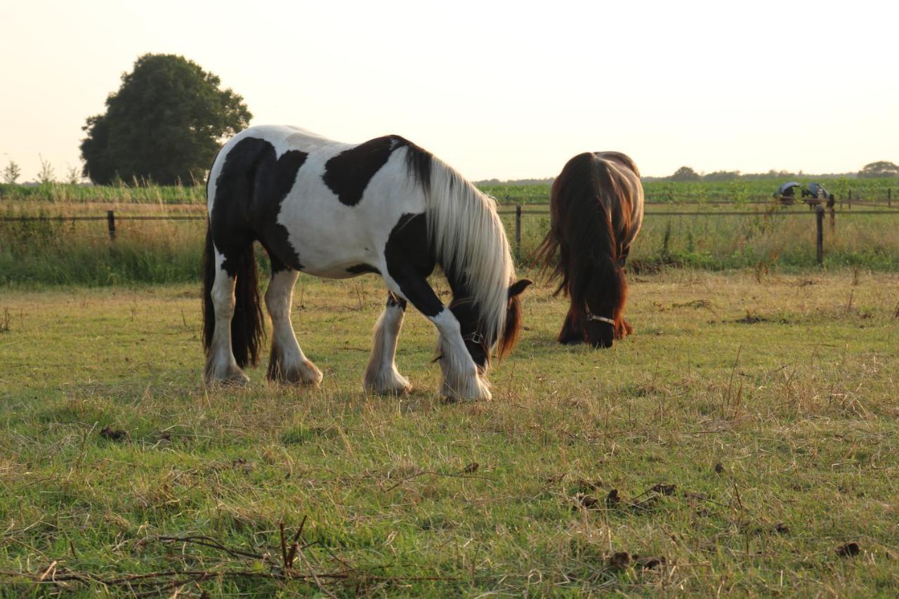 ホテル Slapen Tussen De Paarden Essen エクステリア 写真