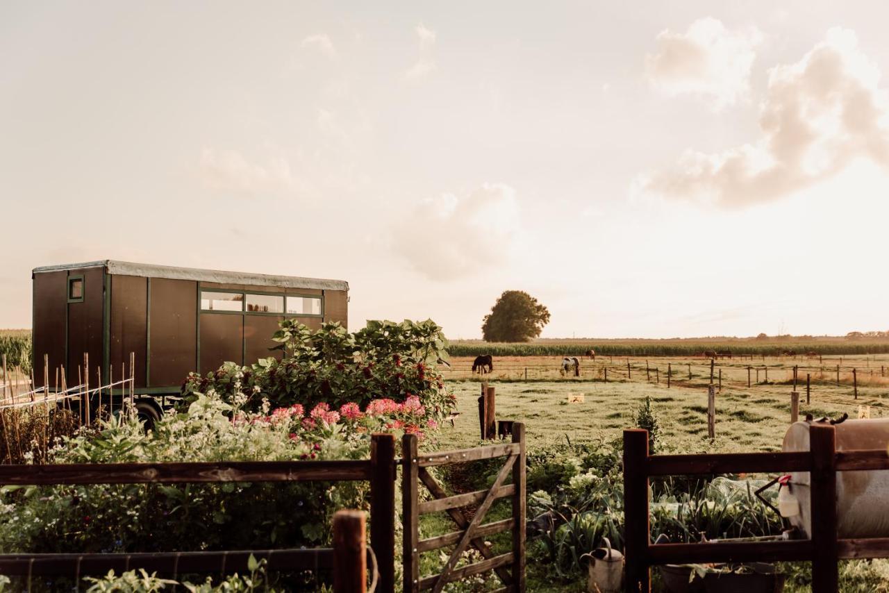 ホテル Slapen Tussen De Paarden Essen エクステリア 写真